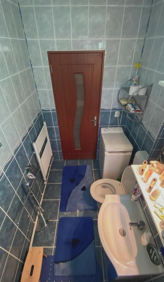 Apartament Cristian Geoagiu Băi Eksteriør bilde