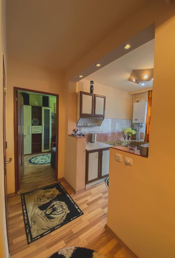 Apartament Cristian Geoagiu Băi Eksteriør bilde
