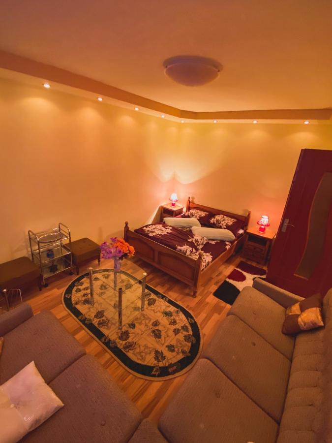Apartament Cristian Geoagiu Băi Eksteriør bilde
