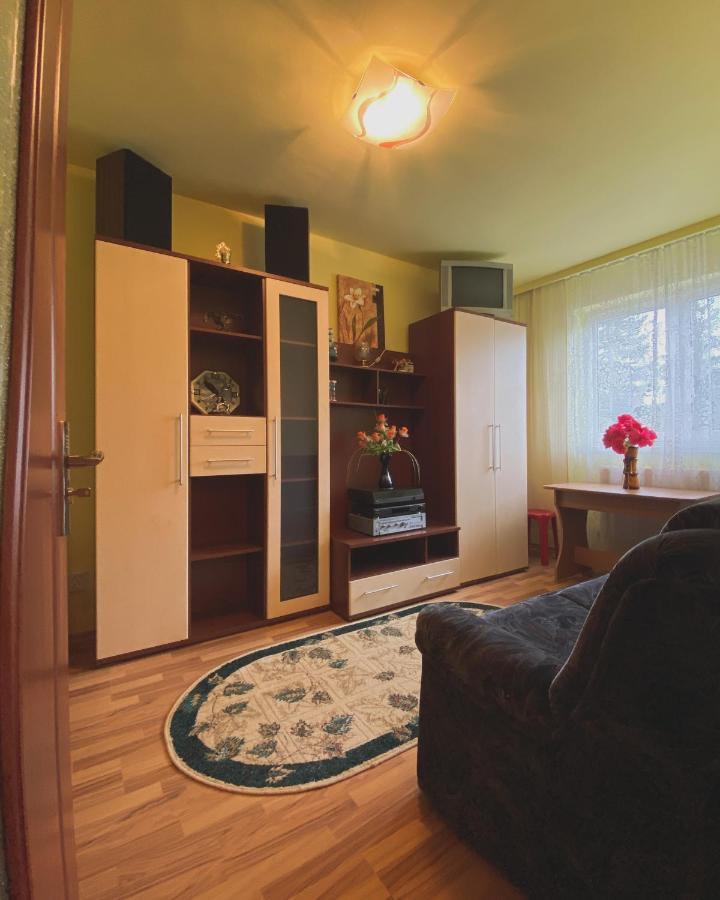 Apartament Cristian Geoagiu Băi Eksteriør bilde